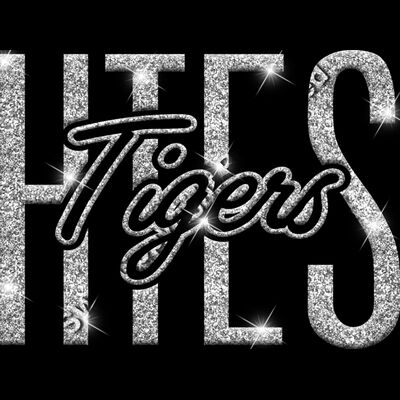 GLT95 SILVER GLITTER Thumbnail