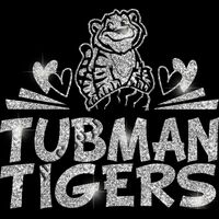 GLT88 SILVER GLITTER Thumbnail