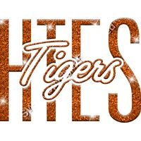 GLT95 ORANGE GLITTER Thumbnail